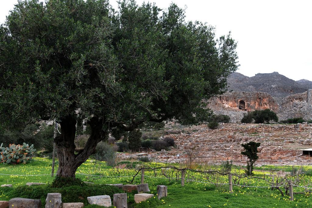 Βίλα Καλλίοπη Ξηρόκαμπος Εξωτερικό φωτογραφία